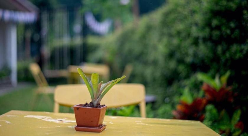 Cozy House Chiangrai Hotel Chiang Rai Exterior photo